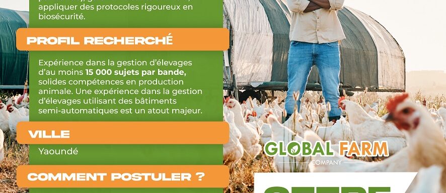 RECRUTEMENT-ICCNET-III